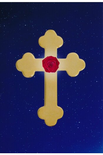 ROSE CROIX 13 X 19 PLASTIFIEE