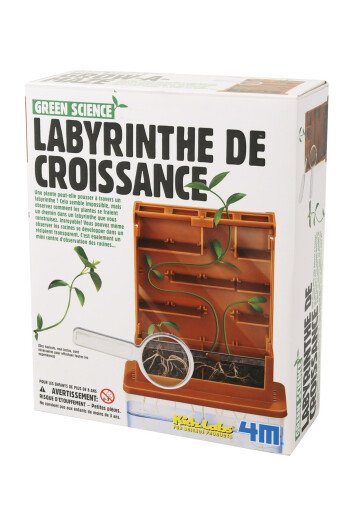 Labyrinthe de croissance