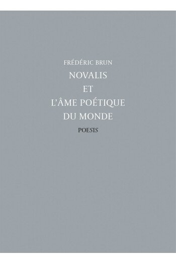 Novalis et l'âme poétique du monde