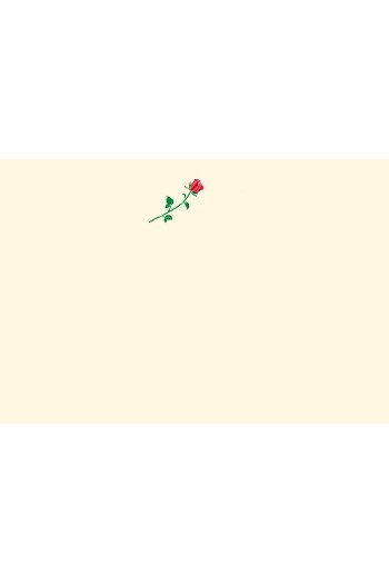 Rose rouge