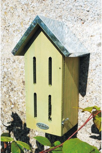 La maison à papillons