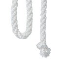 CORDELIERE BLANCHE (4M) (COLOMBE)