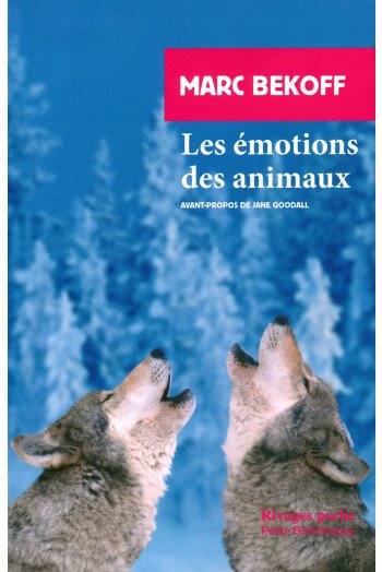 Les émotions des animaux