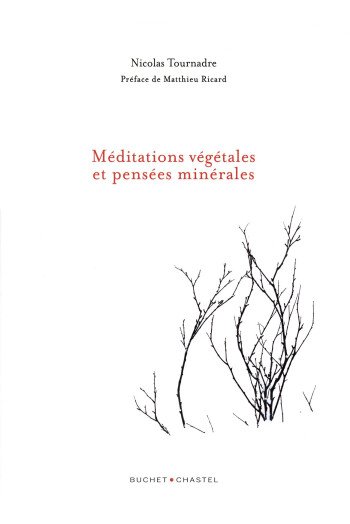 Méditations Végétales et Pensées Minérales