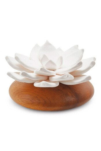 Diffuseur Lotus