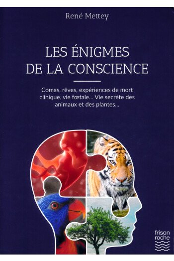 Les énigmes de la conscience