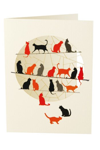 Les petits chats