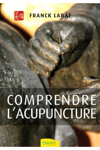 Comprendre l'acupuncture