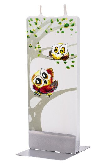Two owls