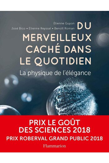 DU MERVEILLEUX CACHE DANS LE QUOTIDIEN
