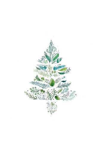 Le sapin vert