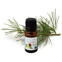 Synergie tonique bio