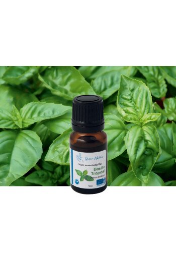 Basilic Tropical Bio