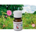 Damask rose  - 100% pure and natural