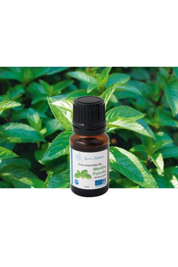 Menthe poivrée Bio