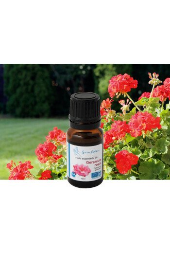Géranium rosat Bio