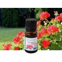 Organic Geranium essential oil