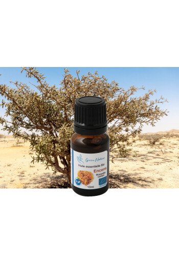 Huile essentielle Encens Oliban