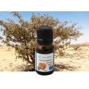 Huile essentielle Encens Oliban