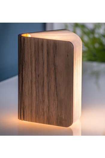 Lampe-livre