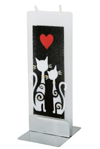 2 chats dans la nuit