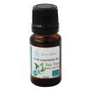 Tea tree (arbre à thé) bio
