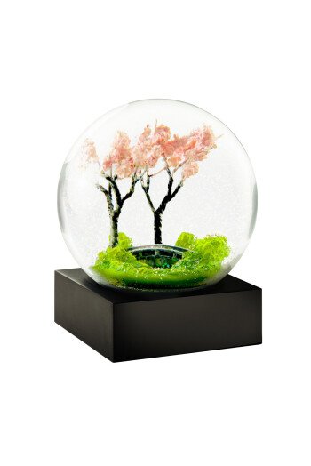 Spring blossom...