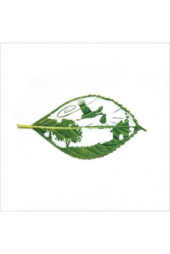 Naissance