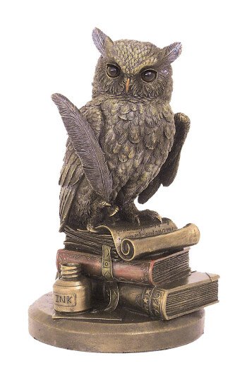 The owl