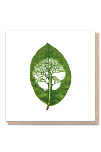 La feuille d'arbre