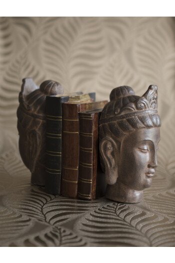 Presse livres Bouddha