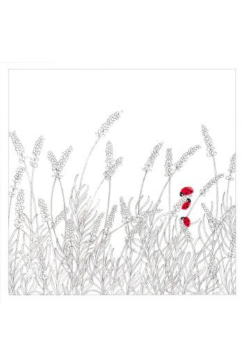 Coccinelles