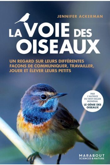 La voie des oiseaux
