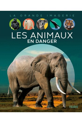 Les animaux en danger