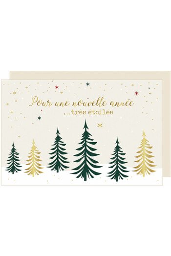 Pour une nouvelle année...très étoilée