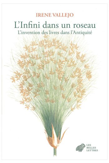 INFINI DANS UN ROSEAU
