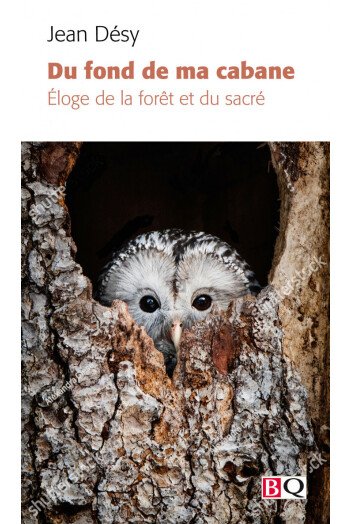 Du fond de ma cabane