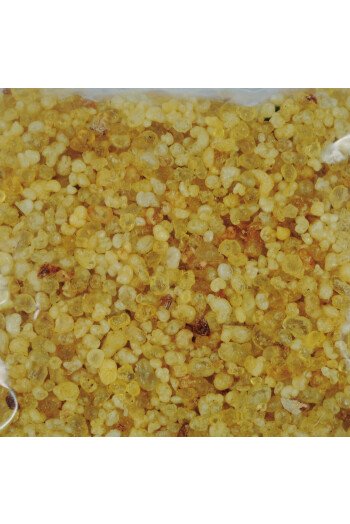 Encens Jasmin