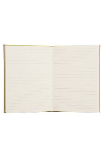 Carnet Vert Anis