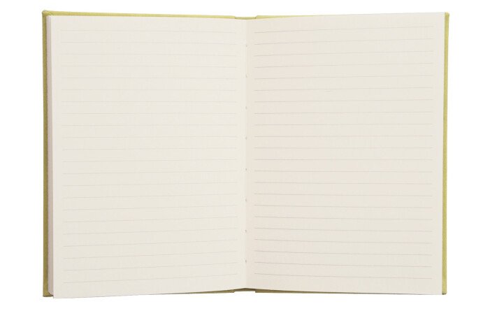 Carnet Vert Anis