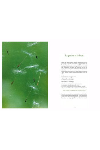 Méditations Végétales et Pensées Minérales