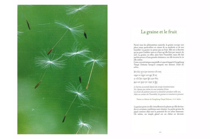 Méditations Végétales et Pensées Minérales