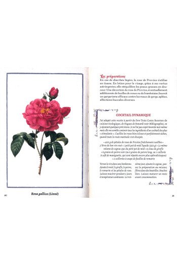Les vertus des simples