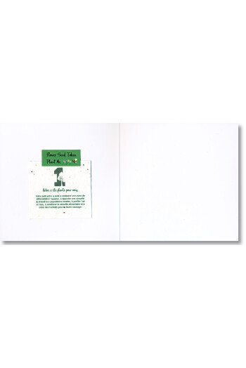 Le sapin vert