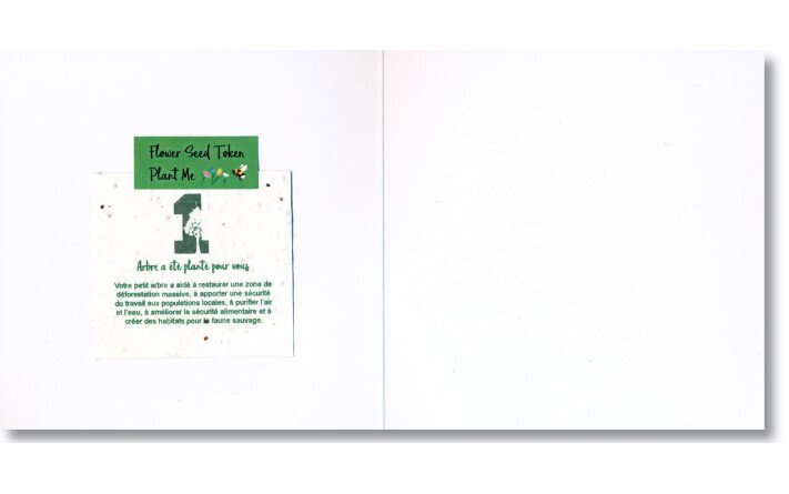 Le sapin vert