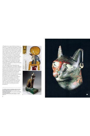 Encyclopédie du savoir relatif et absolu des chats