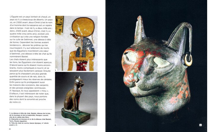 Encyclopédie du savoir relatif et absolu des chats