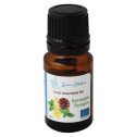 Synergie tonique bio