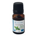 Organic Tropical Basil Essential Oil