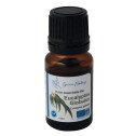 Eucalyptus Globulus Essential Oil